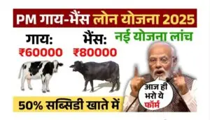 पशुपालन लोन योजना 2025, गाय भैस लोन कैसे ले