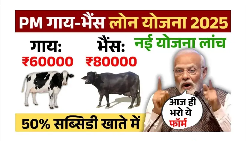 पशुपालन लोन योजना 2025, गाय भैस लोन कैसे ले